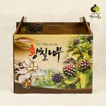 황칠나무즙 1박스(100ml x 60p), 1, 본상품선택
