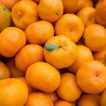 제주 비가림 왕귤 못난이 고당도 하우스 감귤 귤 5kg 10kg, 비가림 왕귤 10kg
