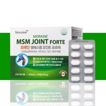 연골 엔에스엠 엠에스엠 조인트 포르테 영양제 약2개월분
