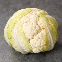 제주 콜리플라워 특 5kg, 단품