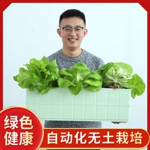 가정용 식물재배기 수경재배기 식물 재배기 화분수배채소설비재배함무토재배채소수경농채기 가정양, 5단 세트(풀세트 포함), 중간 정도