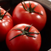 찰토마토 5kg 10kg, 1box, 5kg 중과 (3번)