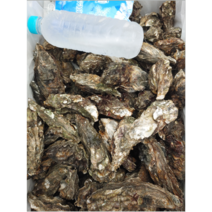 자연산 석화 3키로 5키로 10키로