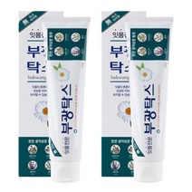 부광약품 부광탁스 잇몸전문 치약 120gx2개, 120g, 2EA