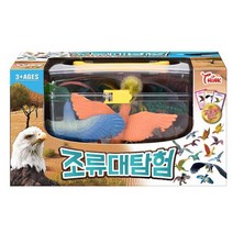 교육용 조류 장난감 새이름 카드 태권도선물 손주선물