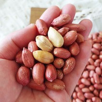 [산지직송] 좋은물과 흙이 만들어낸 땅콩! 22년 여주 햇 생 땅콩 300g, 1개
