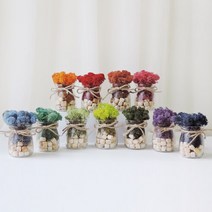 스칸디아모스 공기정화식물 편백 쁘띠 화분 DIY 만들기키트 (11colors), 퍼플