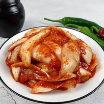 [식품의즐거움]우리 농산물로 만든 해남 양파김치 1kg, 단품