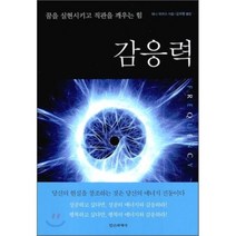 감응력:꿈을 실현시키고 직관을 깨우는 힘, 정신세계사, 페니 피어스 저/김우종 역