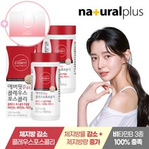 [내츄럴플러스] 권나라 에버핏 콜레우스포스콜리 다이어트 60정 3병(3개월분)+쇼핑백 증정, 상세 설명 참조, 상세 설명 참조
