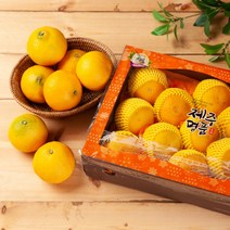 제주 고급 골든리치 황금향 선물세트 3kg 5kg, 1개