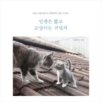 위즈덤하우스 인생은 짧고 고양이는 귀엽지 + 미니수첩 증정, 이용한