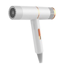 팻트라이룸 애견 드라이기 전문가용 블루레이 음이온 헤어 드라이어 220V 가정용 강력한 지속적인 전기, 01 white_02 EU