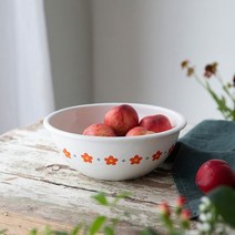 모던하우스 L 레드 작은꽃마리 법랑 다용도볼 20cm