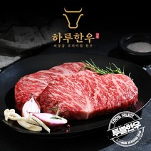 하루한우 소고기 투플 한우 투플러스 한우200g 단품, 살치살200g
