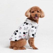 아트박스/아이홈 디즈니 캐릭터 펫 파자마 미키, XL/그레이