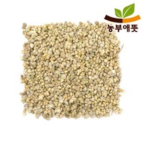 국산 시금치 씨앗 100g 씨