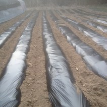 농업용 멀칭 롤 비닐 90cm x 200m 0.02mm 농사용 필름 주말 농장 텃밭 마늘