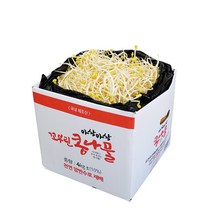 [생산자 직송] 천연 암반수로 키운 튼실한 꼬부린 콩나물 1kg 2kg 4kg 박스