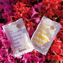 나주배꽃푸드 나주배 NFC 착즙 The 맑은 배즙 + 도라지배즙 콜라보 120ml 100포+10팩 서비스, 120ml x 100포 / 1박스