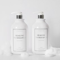 M자 옆머리 휴지기 탈모 완화 사춘기 고등학생 힐링TM 탈모샴푸, 2개, 1000ml