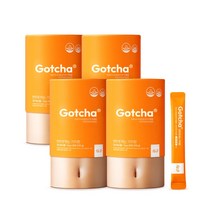 [핏디] 변하게 하는 가차환 다이어트 보조제 차전자피 가르시니아 식이섬유 탄수화물컷팅제, 30포, 4박스