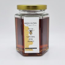 목청꿀 100% Pure Natural Raw Honey 인도네시아 250ml, 1개
