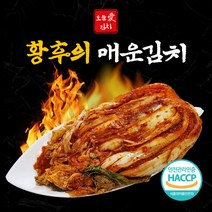 오늘애푸드 매운 실비김치 2단계(지옥불맛) 1kg 2kg 3kg 대전선화동 먹방