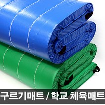 국내산 체육관매트 구르기매트 (120cm x 240cm x 6cm), 그린 (120cm x 240cm x 6cm), 1개