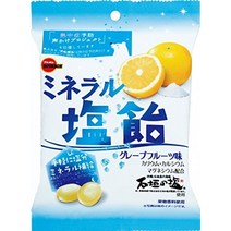 부르봉 미네랄 소금 사탕 100g x 10봉
