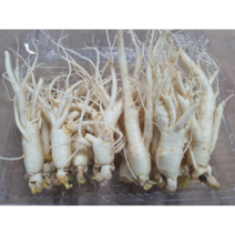 금산인삼 5년근 난발삼 750g 18~25뿌리내외