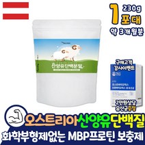식사대용 산양유 단백질 프로틴 3달분 MBP 남자 30대 40대 50대 60대 이산화규소 없는 살찌는 보충제 약 아님 성인분유 어른분유 오스트리아 분말 동물성 근성장 근육증가 순수 퓨어