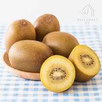 웰굿 [웰굿] 산지직송 하동 고당도 골드키위3kg(21-25개왕특과), 1