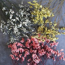 프리저브드 시네신스 소량판매/3색/건조화 말린꽃 diy 꽃다발 재료, 02. 시네신스-노랑