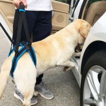 리프트하이니 반려동물 뒷다리 하네스 애완 보조도구, 리프트하이니 BL06975 - M, 1개