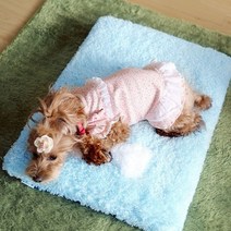 아페토 사각 반려동물 쿨매트, 블루