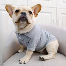 강아지옷 프렌치불독 자수 카라티 웰시코기 보스톤테리어, XL