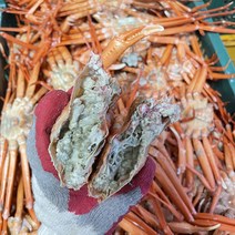 [산지직송] 포항 구룡포 자숙 홍게 3kg 프리미엄 10-12미내외, 1box