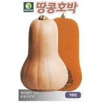 다농 땅콩호박씨앗 호박씨앗 10p, 4개