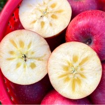 꿀품 가정용 못난이 꿀사과 흠집 사과, 1박스, 1kg