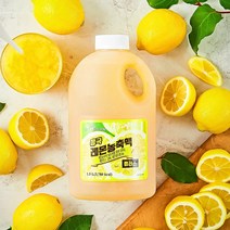 흥국F&B 레몬농축액 플러스 1.5L, 선택안함, 선택안함