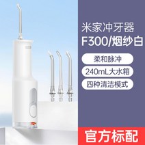 샤오미 충치기 F300미터 집 휴대용 전기세척기 집 수치실 구강세척기 교정기 전용, 표준 샤오미 F300 타발기/연사 화이트개