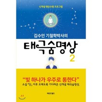 김수인 기철학박사의 태극숨명상 2, 마인드필드