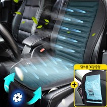 더쎈 2022년형 빅팬 6팬 8팬 12팬 차량용 송풍 쿨링 통풍 시트 커버 전차종, 더센10팬쿨링시트12V+닦쓰봉30장