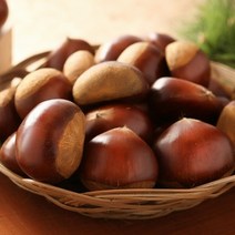 햇 생밤 2kg 국산 공주 옥광 생율 알밤 판매 진맛깔, 1개