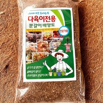 [올식스] 분갈이 배양토 2L, 1개