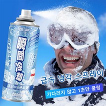 차량 내 더위를 날려주는 냉각제 빠른 냉각력으로 인테리어를 순식간에 시원하게, 아이스 큐브 260ml