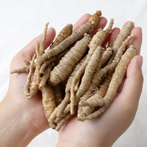한라산더덕 세척 하품 10kg, 1개