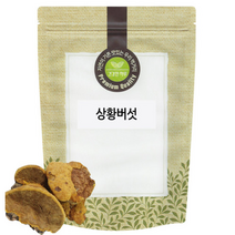 상황버섯 500g 중국, 1개