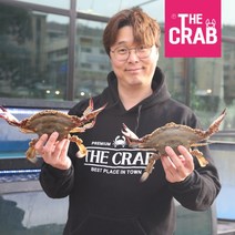 당일조업 산지직송 제철 활꽃게 생물꽃게, 1개, (급랭) 숫꽃게 소 3kg (15미전후)